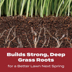 Scotts Turf Builder WinterGuard Fall Lawn Fertilizer for All Grass Types, 12,000 sq. ft., 32.3 lbs.