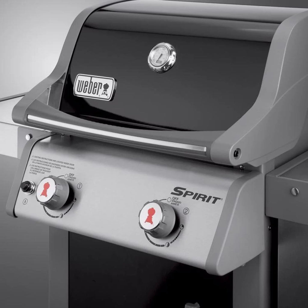 Weber 2 Burner Liquid Propane Grill, Black - Spirit E-210