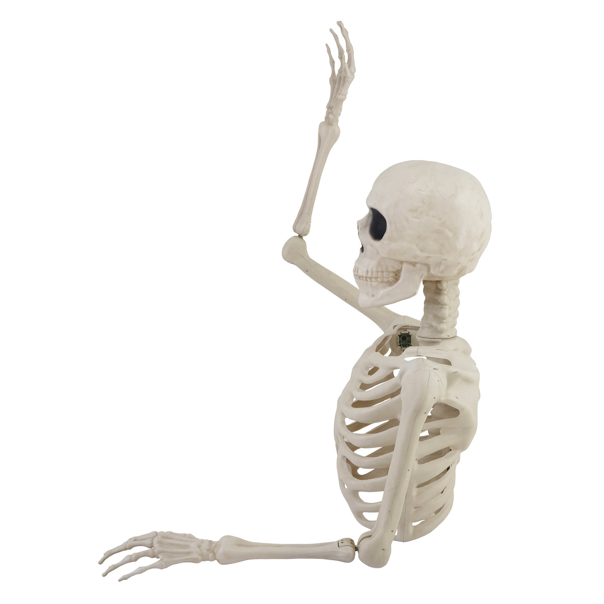 Skeleton Groundbreaker Decoration, Ivory, 46", Halloween by Way To Celebrate