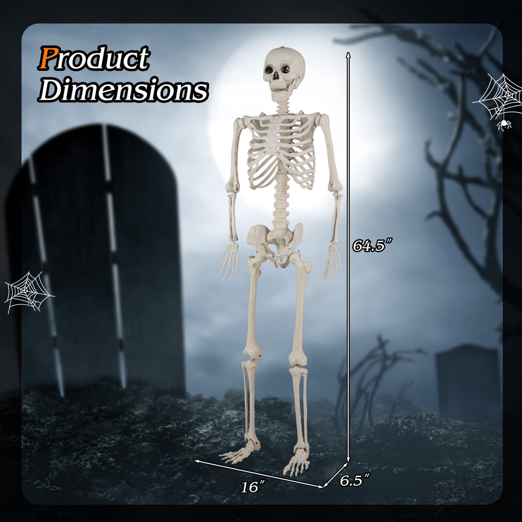 Costway 5.4 FT Halloween Skeleton Decoration Life Size Large Skeleton with Posable Joints 64.5 Inches Ivory White