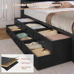 Queen Upholstered Platform Bed Frame With LED Headboard, 12 Storage Drawers And Charging Station - Black