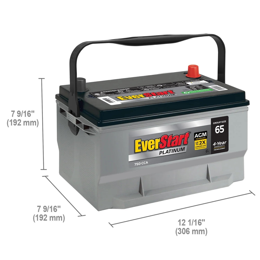 EverStart Platinum AGM Automotive Battery, Group Size 65, 12 Volt, 750 CCA