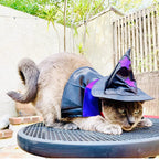 WILLED Halloween Pet Costumes, Cat Wizard Costume, Dog Witch Cloak & Hat, Purple Witch Cloak for Cats, Dogs, Kittens, Puppies, Rabbits, Perfect for Halloween, Parties, Cosplay, and Daily Wear
