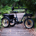 DWMEIGI Silverado 20 Foldable Fat Tire Electric Trike 48V/14AH 750W, 330LBS - MG2301