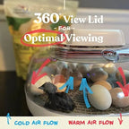 Harris Farms Egg Incubator For Hatching Chicks, Holds 22 Eggs - Nurture Right