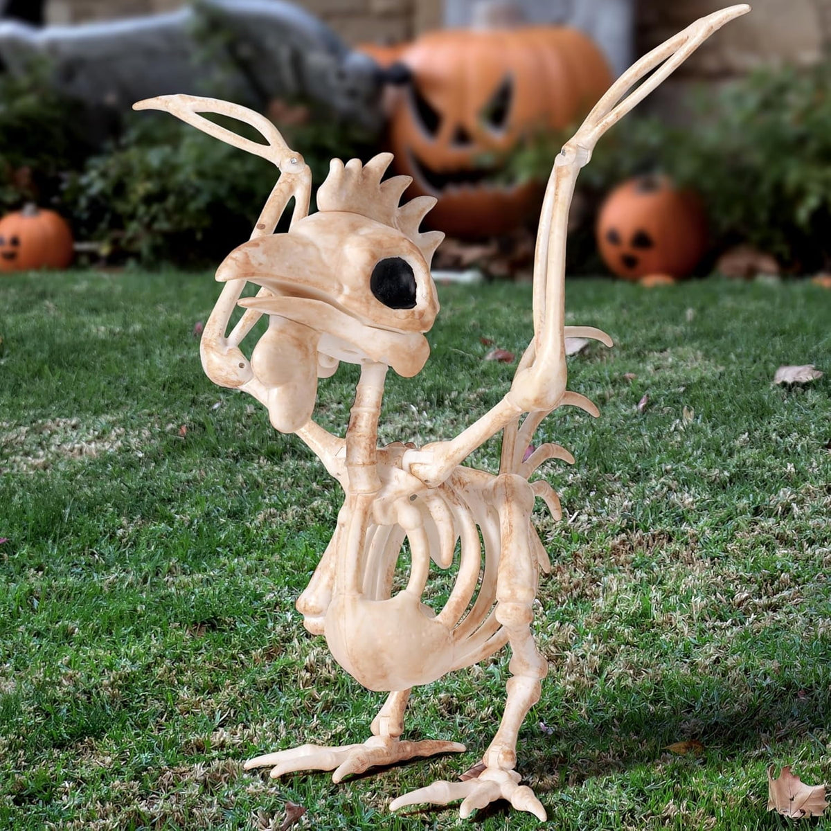 Joyfy Rabbit Skeleton
