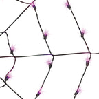 Indoor/Outdoor 50-Count LED Spider Web Lights, 5', Halloween by Way To Celebrate