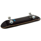 [CCS] Skateboard Complete | Maple Wood | Professional Grade | Fully Assembled with Skate Tool & Stickers | Adults, Kids, Teens, Youth | Boys & Girls