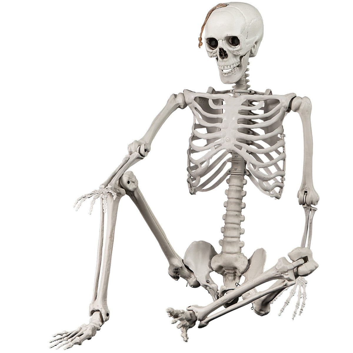 Costway 5.4 FT Halloween Skeleton Decoration Life Size Large Skeleton with Posable Joints 64.5 Inches Ivory White
