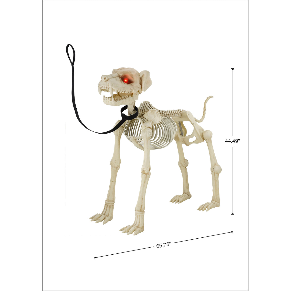 Way To Celebrate Animated Skeleton Dog Halloween Decoration, Beige, 60 in