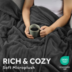 Sunbeam Heated Electric Microplush Bed Blanket, Greystone, Twin Size, 12 Heat Settings, 62 x 84 in