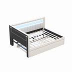 Upholstered Platform Bed Frame With USB Ports, LED Lighting And 2 Storage Drawers - Full/Twin