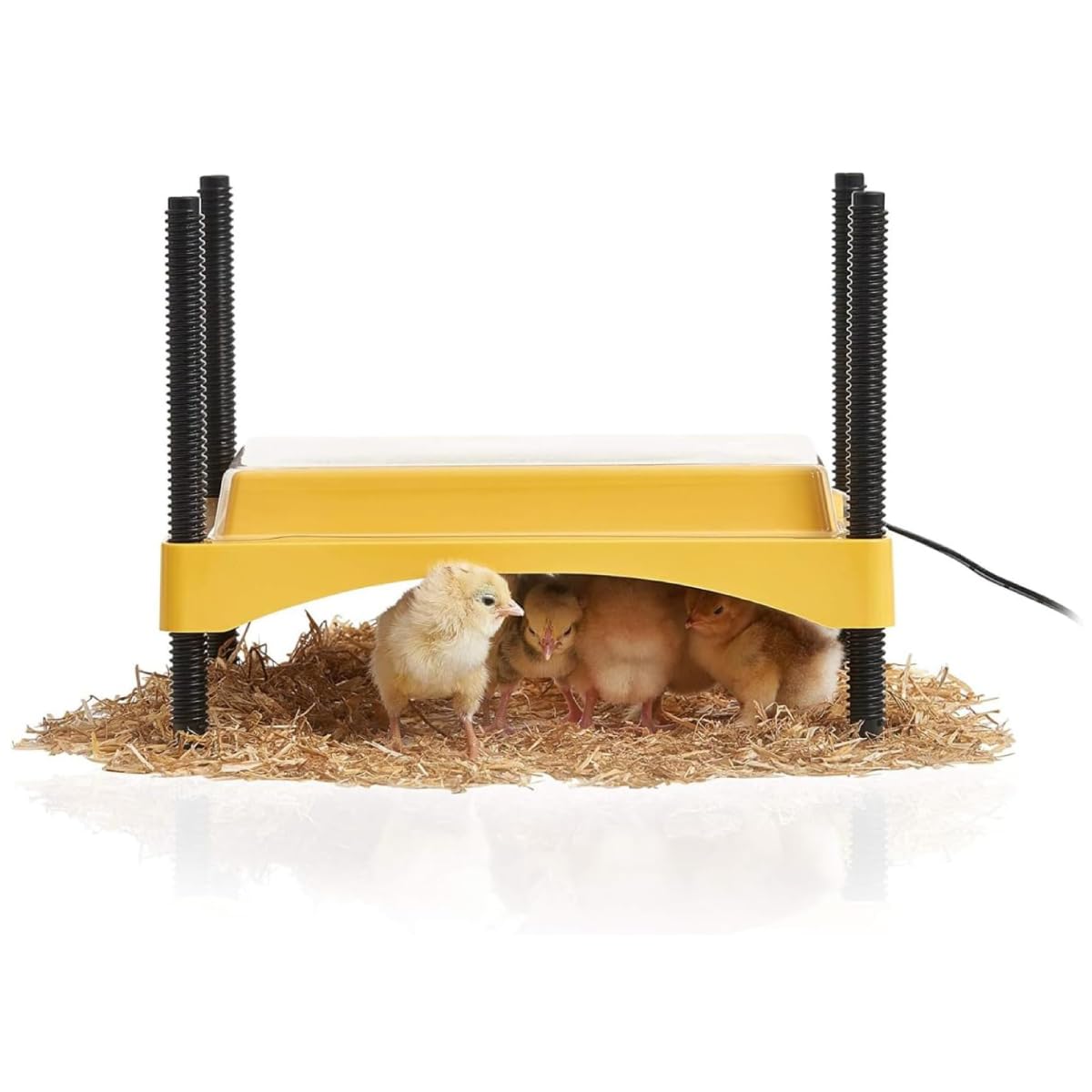 Brinsea Ecoglow Safety 600 Chick or Duckling Brooder, Up to 20 Chicks