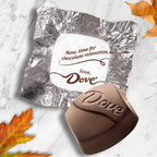 Dove Promises Dark Chocolate Fall Halloween Candy - 8.87 oz