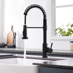 GIMILI Black Kitchen Faucet with Pull Down Sprayer