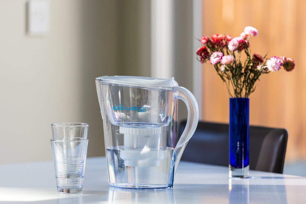 Epic Pure Water Filter Replacement for Epic Pure Pitchers, 100 Gallon