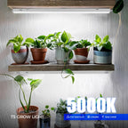 Barrina T5 Grow Light, 5000K White Full Spectrum LED Grow Light 2ft, 8 Pack