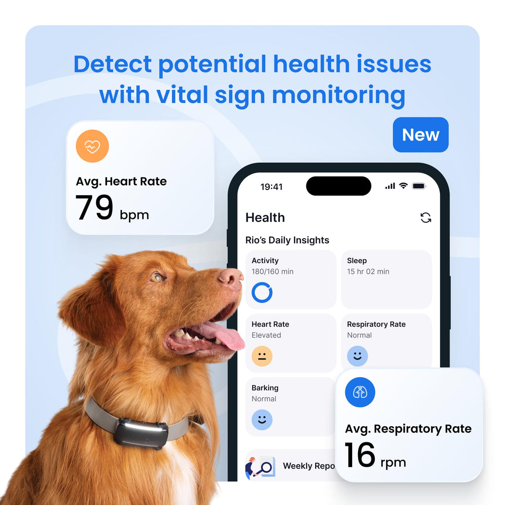 Tractive Smart Dog GPS Tracker | Live Pet Tracker with Virtual Fence | Vital Signs Monitoring of Heart & Respiratory Rate | Bark Monitoring | Dog