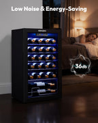 EUHOMY 25 bottle Wine Cooler Refrigerator, Wine Fridge Glass Door, Black
