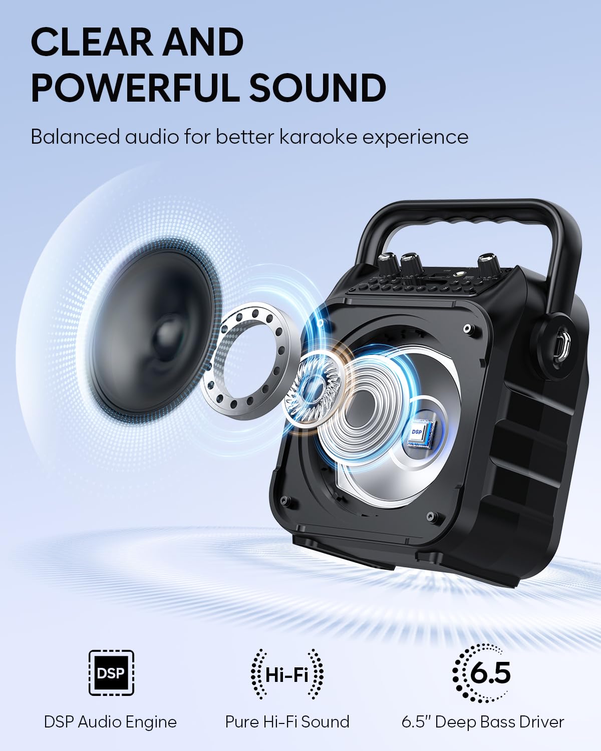 Karaoke Machine, Portable Bluetooth Speaker with 2 Wireless Microphones