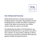 BodyHealth PerfectAmino Powder - BCAA and EAA Powder for Pre and Post Workout - Amino Acid Energy Drink for Men and Women to Support Lean Muscle and