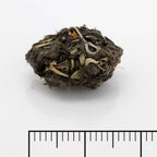 Barn Owl Pellets, Pack of 20 Small, Individually Foil Wrapped & Pre-Graded, Science Classroom Hands On Dissection Kit