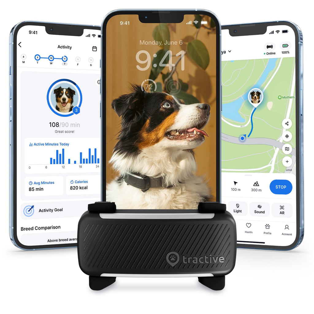 Tractive Smart Dog GPS Tracker | Live Pet Tracker with Virtual Fence | Vital Signs Monitoring of Heart & Respiratory Rate | Bark Monitoring | Dog