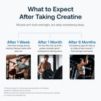 Transparent Labs Creatine HMB - 30 Servings, Unflavored