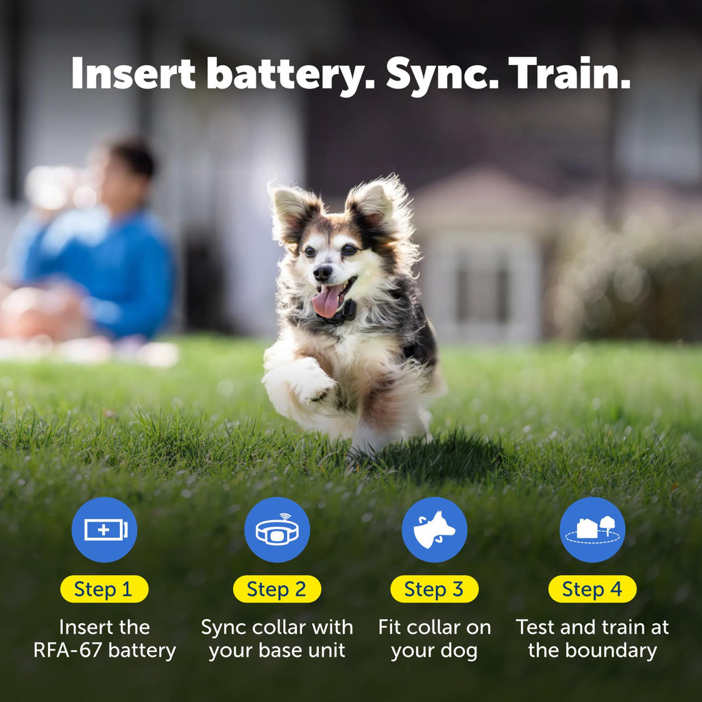 PetSafe Wireless Pet Containment System Collar