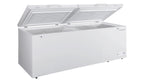 21-Cu.-Ft. Chest Freezer With Double Doors