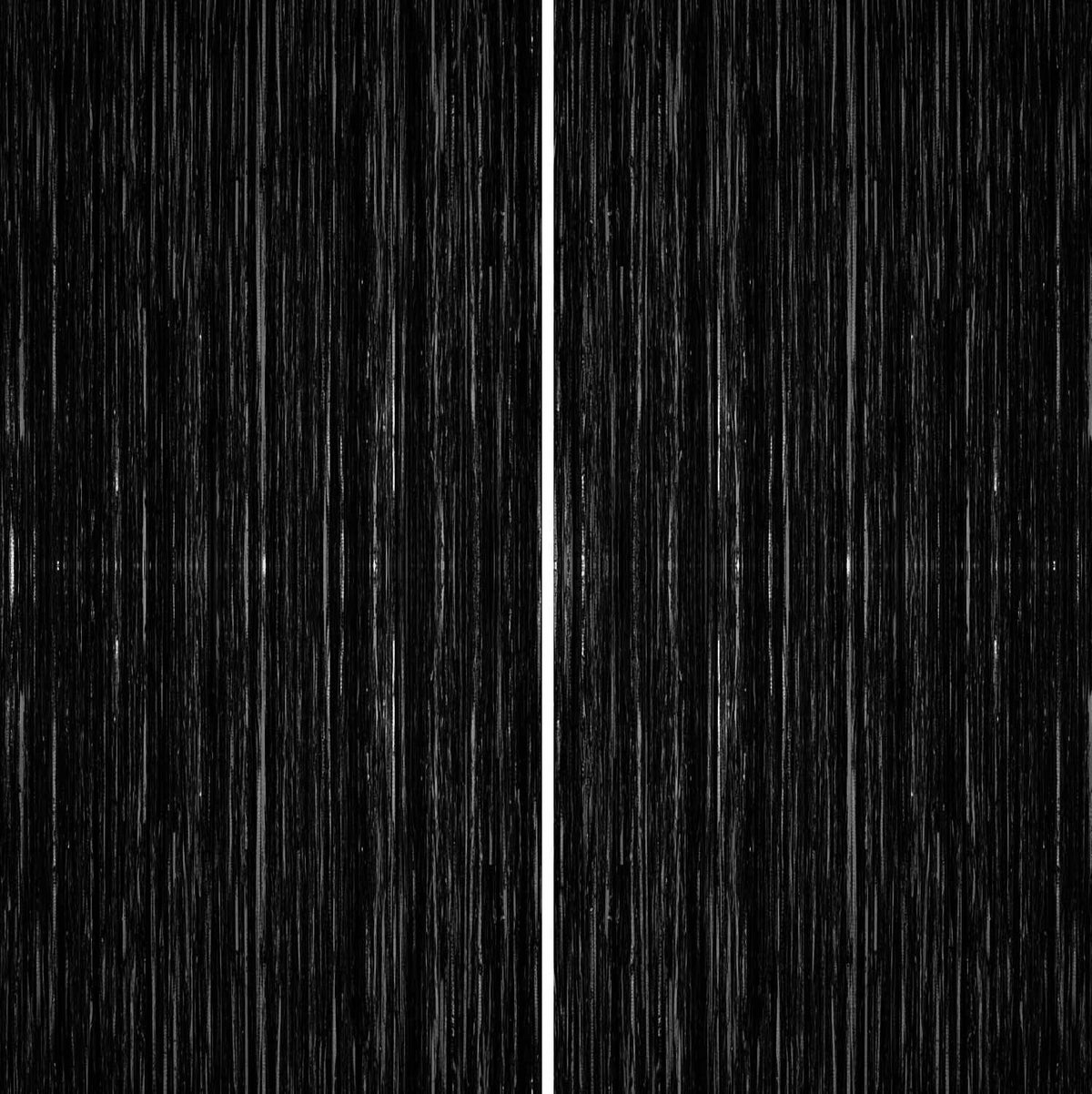 Sm:)e 2-Pack Light Bright Silver Foil Fringe Curtains for Events - Birthday, Wedding, Graduation, Christmas, Baby Shower, various festivals Decor Photo Booth Fun!
