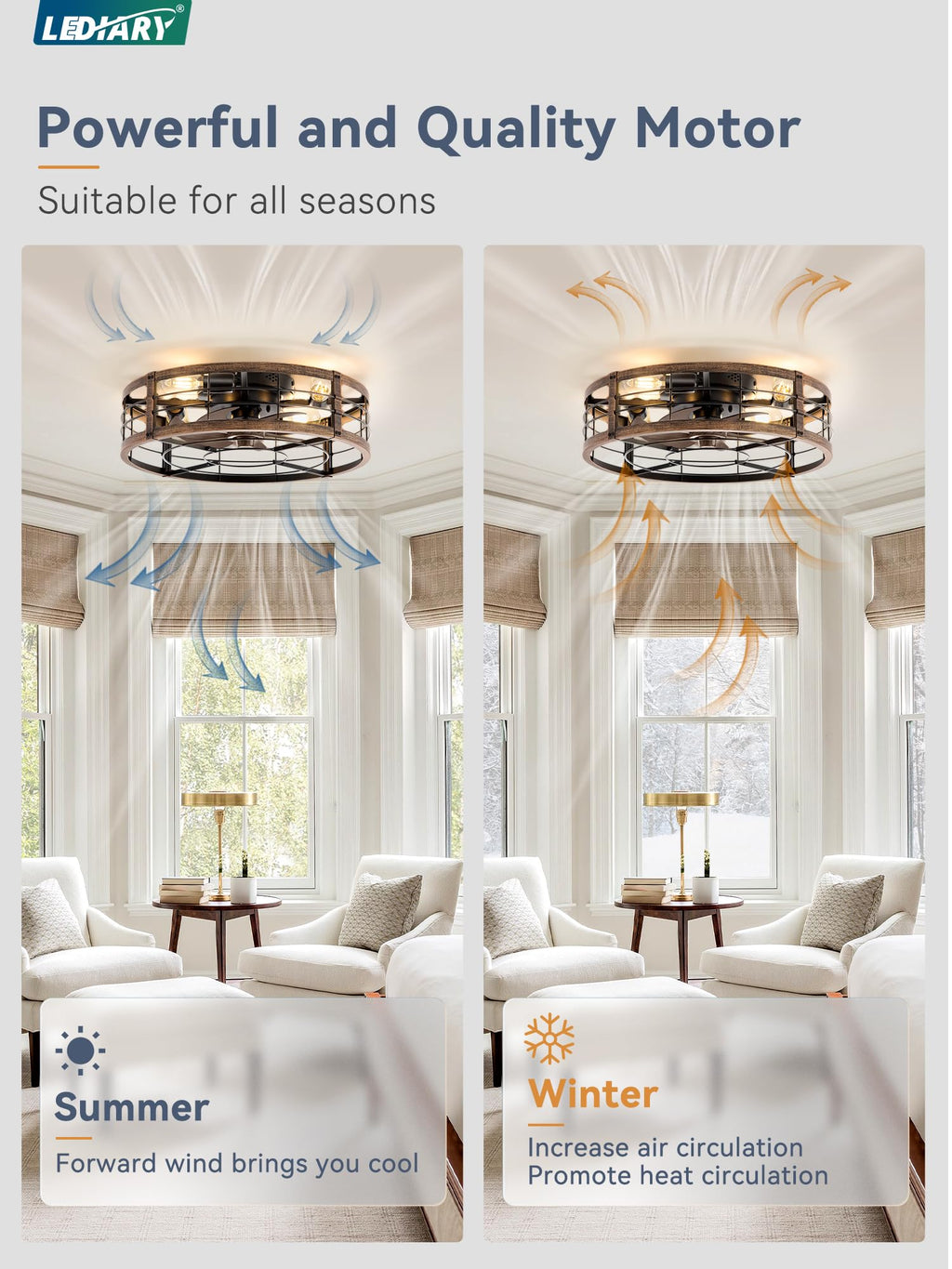 LEDIARY 20" Caged Low Profile Ceiling Fan with Light and Remote Black Gold