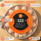 18 Egg Incubators for Hatching Eggs, Automatic Egg Turning and Humidity Control Incubator for Hatch Chicken Duck Quail Pigeon Pheasant Partridge Home