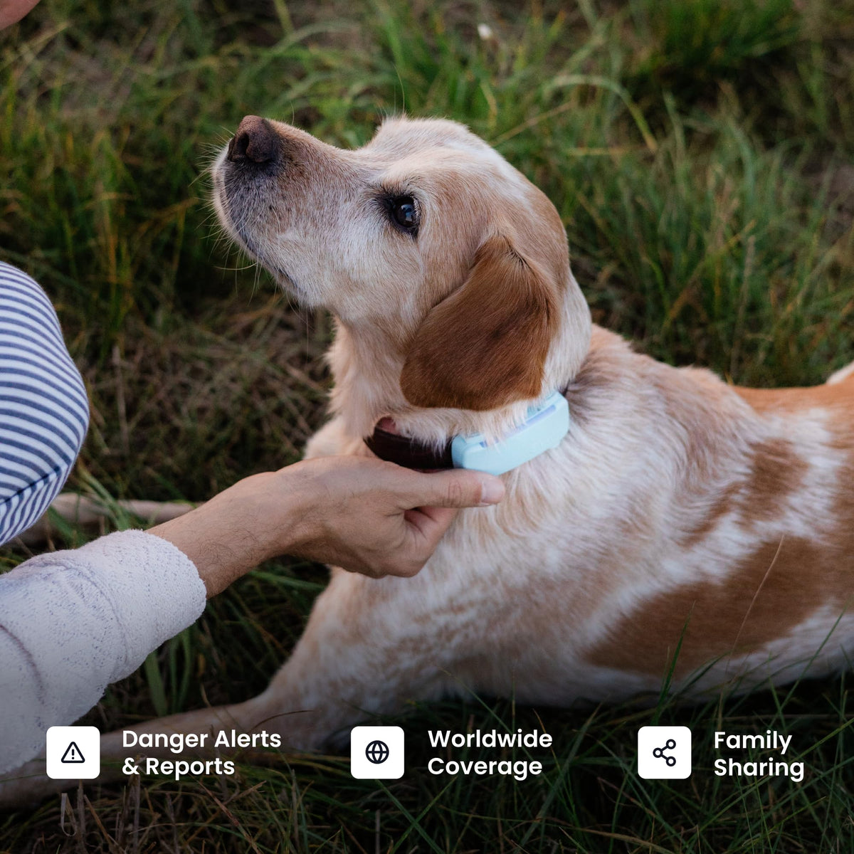 Tractive Smart Dog GPS Tracker | Live Pet Tracker with Virtual Fence | Vital Signs Monitoring of Heart & Respiratory Rate | Bark Monitoring | Dog