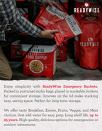 READYWISE Emergency Food Supply Survival Bucket, 132 Servings