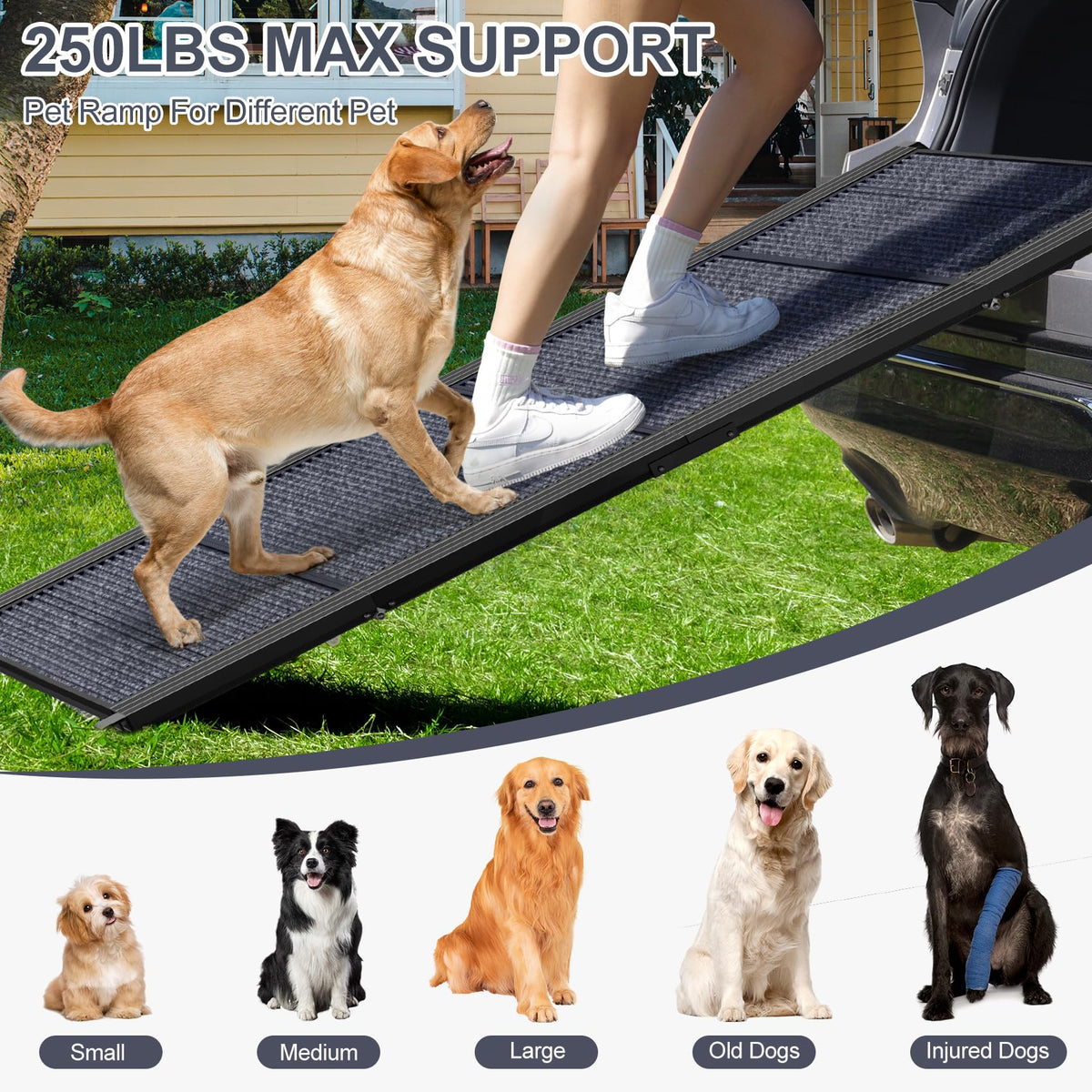 Dog Ramp for Car 63" L × 17" W, Pet Ramp for Truck Foldable