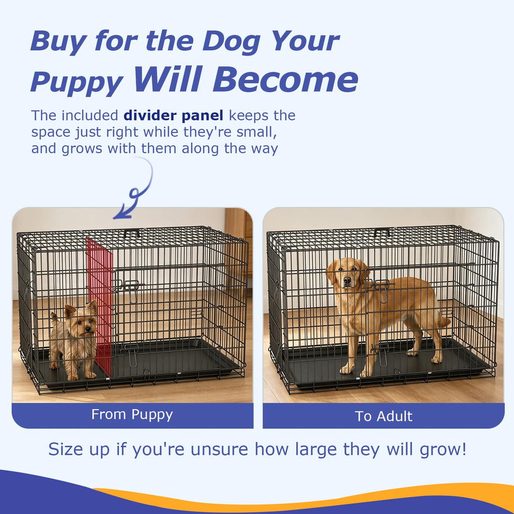 FDW | 48" Foldable Metal Dog Crate | Dark Black | Cage for XL Dogs