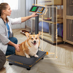Digital Platform Scale 660LBs Heavy Duty Floor Scale KG/LB Switchable Postal Shipping Scale for Weighing Packages, Luggage, Suitcases, Boxes