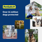 PetSafe Stubborn Dog In-Ground Fence Collar