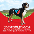 Purina ONE Lamb and Rice Formula Dry Dog Food for Digestive Support
