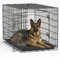 FDW | 48" Foldable Metal Dog Crate | Dark Black | Cage for XL Dogs