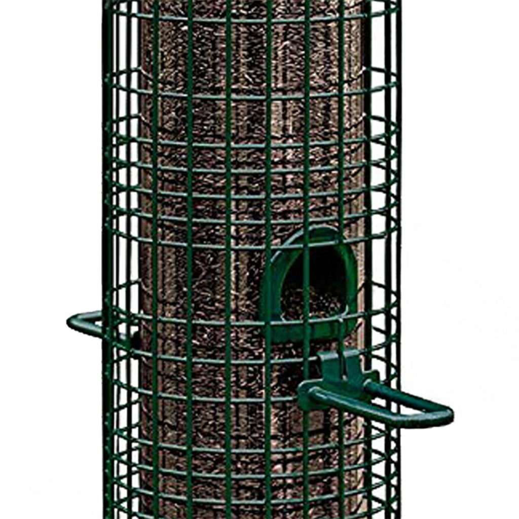Squirrel Buster Classic Squirrel-proof Bird Feeder w/4 Feeding Ports, 2.4-pound Seed Capacity