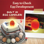 Harris Farms Nurture Right Egg Incubator with Auto Turner, Holds 22 Eggs