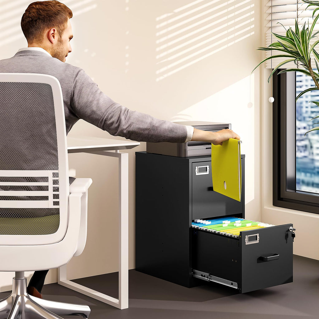 2 Drawer File Cabinet with Lock Vertical Filing Storage Cabinet Office Home Steel Vertical File Cabinets for Letter Size File Cabinet Locked,Assembly