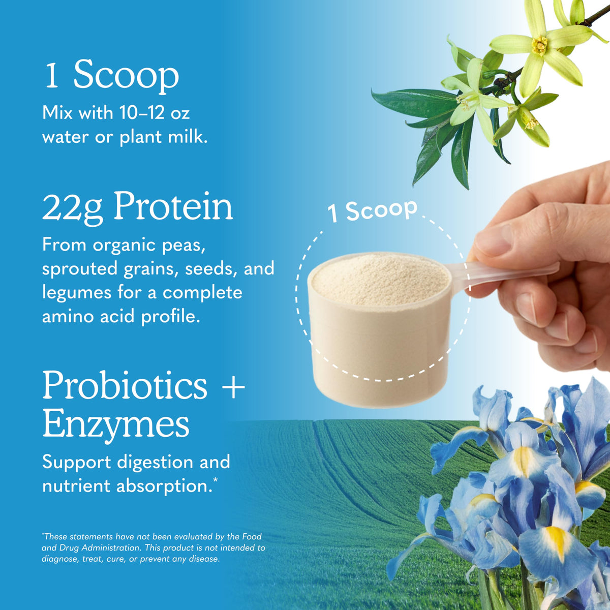 Garden of Life Raw Organic Protein Powder, Vegan, Vanilla, 20 Servings