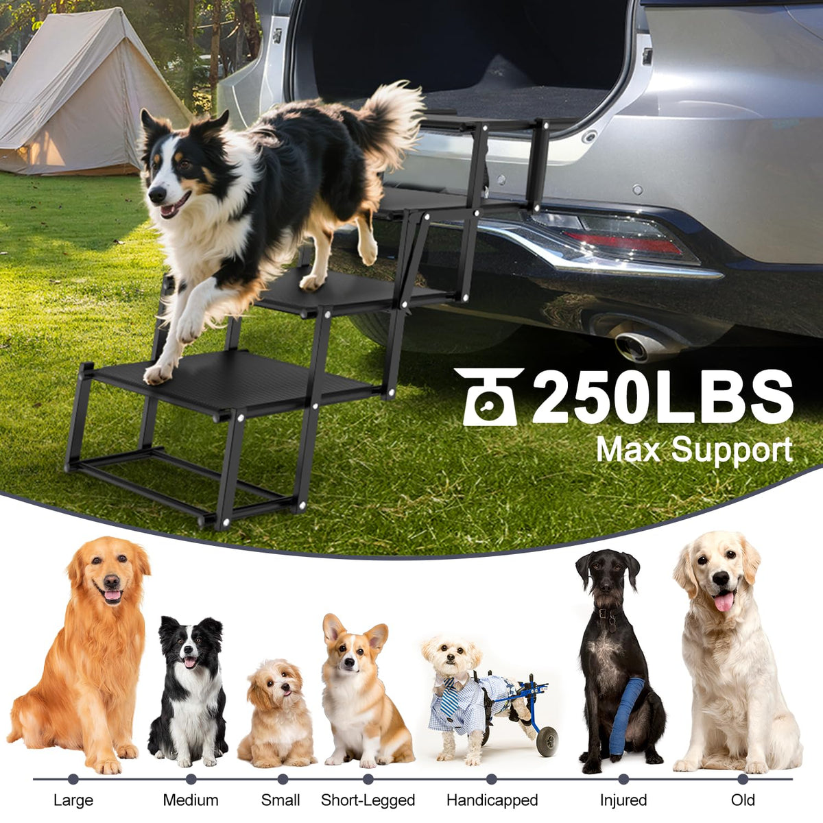 Extra Wide 20" Dog Stairs for Large Dogs, Dog Steps for Car 4 Steps