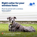 PetSafe Wireless Pet Containment System Collar