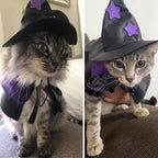 WILLED Halloween Pet Costumes, Cat Wizard Costume, Dog Witch Cloak & Hat, Purple Witch Cloak for Cats, Dogs, Kittens, Puppies, Rabbits, Perfect for Halloween, Parties, Cosplay, and Daily Wear
