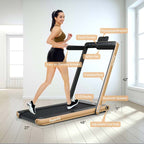 2 In 1 Folding Treadmill, 2.25 HP, 40 in x 16 in Running Area, Dual Display And App Control