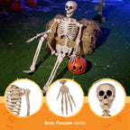 JOYIN 5 FT Halloween Skeleton Life Size, Stayable Posable Skeleton Decor, Full Body Movable Joints Giant Skeletons for Halloween Decoration Outdoor